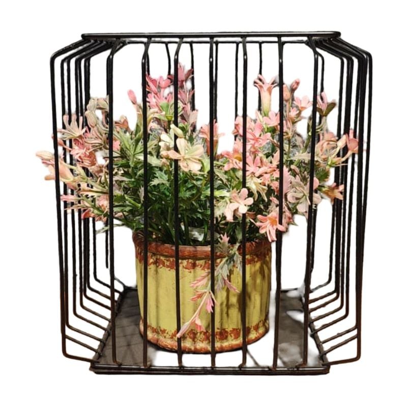 Square Bonzai Cage Large