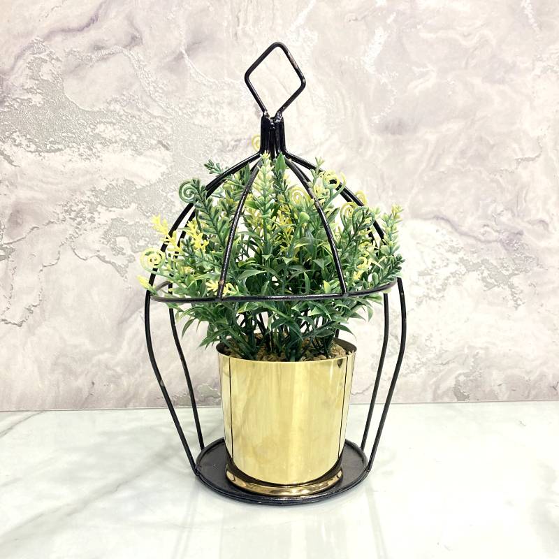 Cage With Pot {Medium Size}