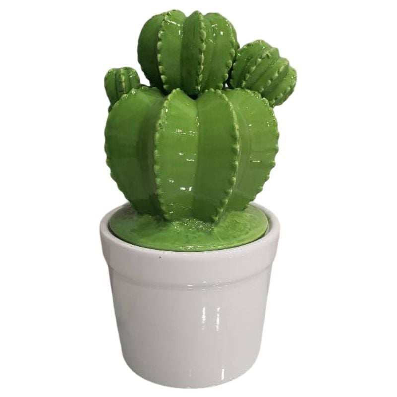 Cactus Lidded Pot