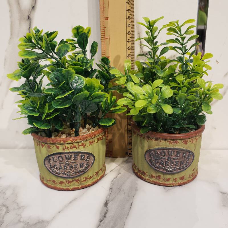 Mini Faux Greenery in Vintage Pot {Each Piece}