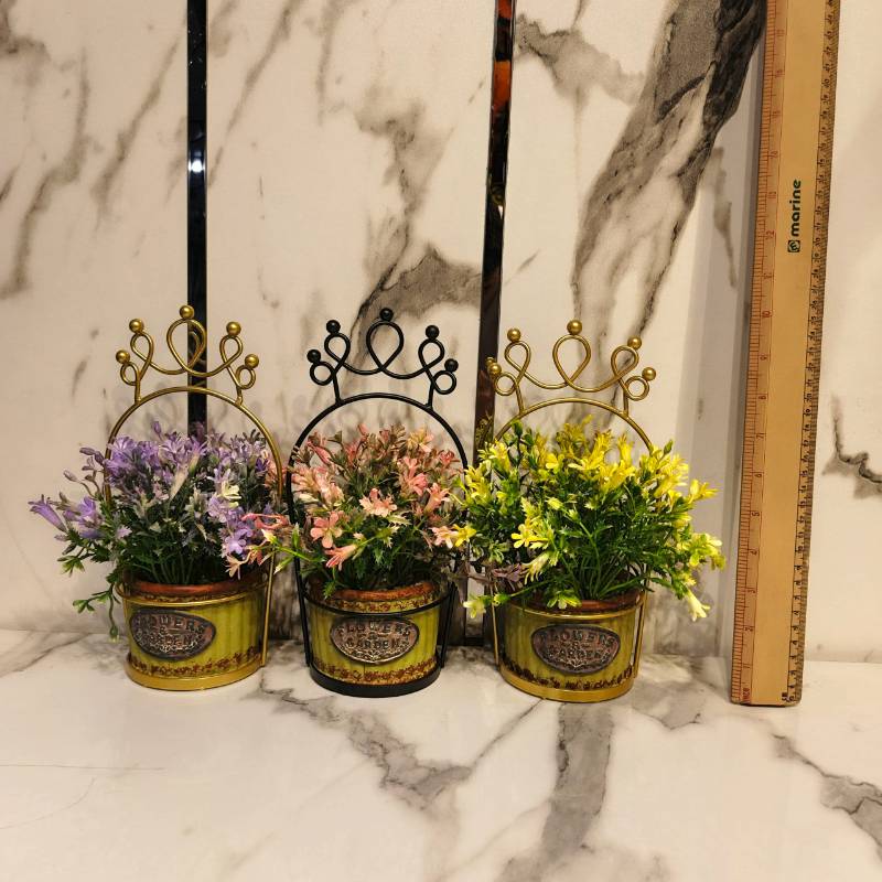 Each Pot With Crown Stand NC