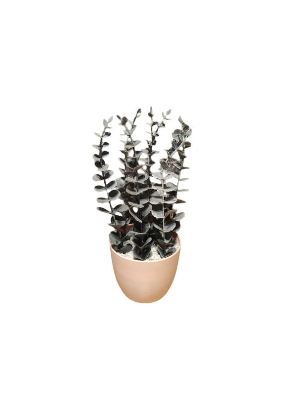 Mini Green Pot {Small}