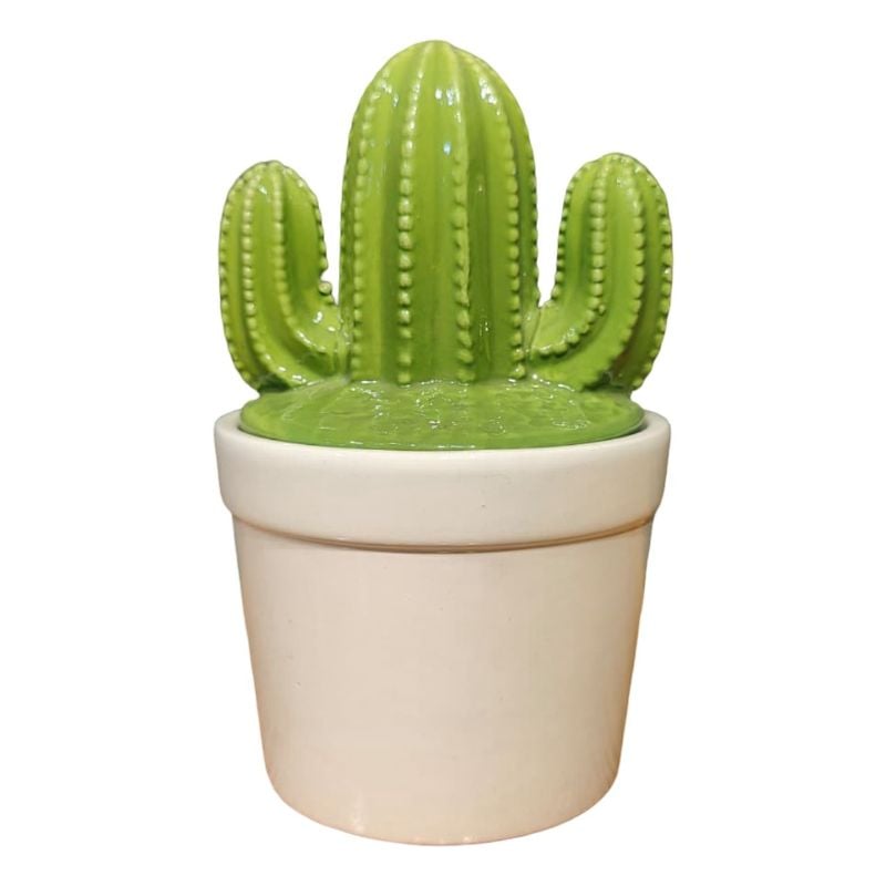 Ceramic Cactus NC