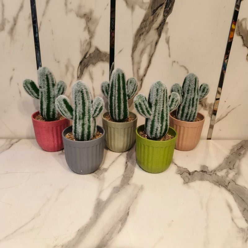 Snow Cactus Pot Large