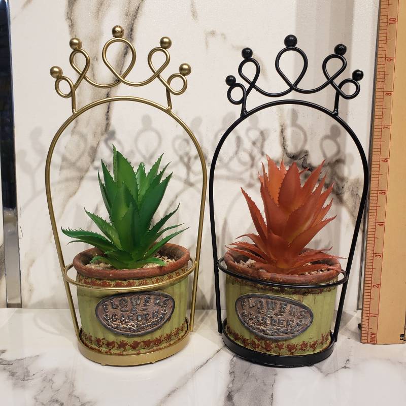 Cactus Pot With Stand {Each Piece}