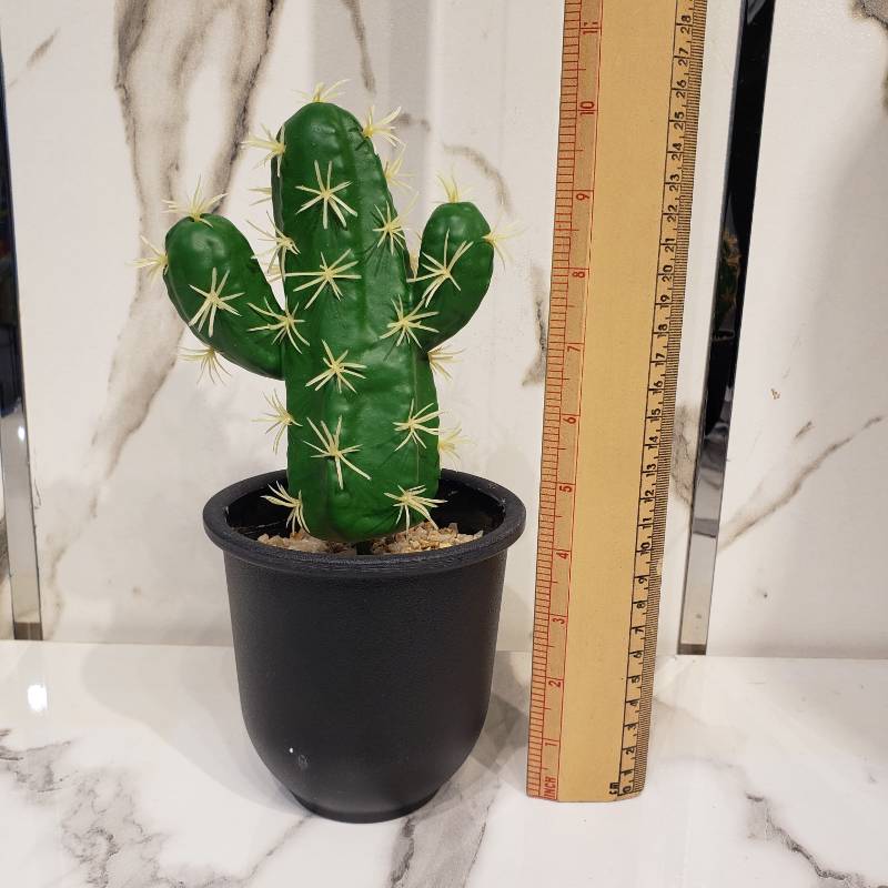 Cactus Pot NC 1