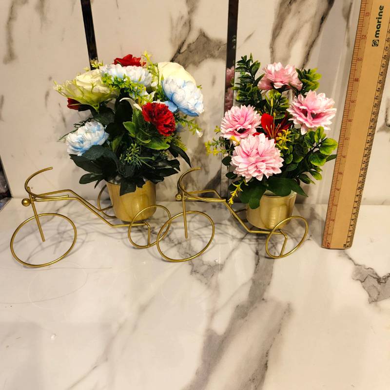 Cycle Decoration With Pot