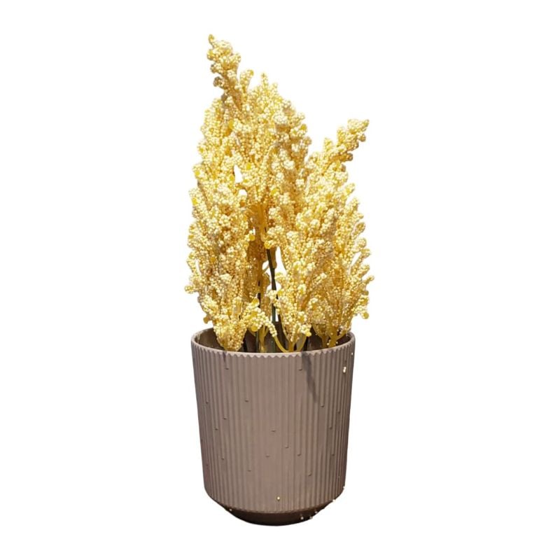 Dry Bunch Pot