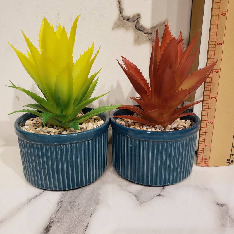 Pot Ceramic NC {Each Piece}