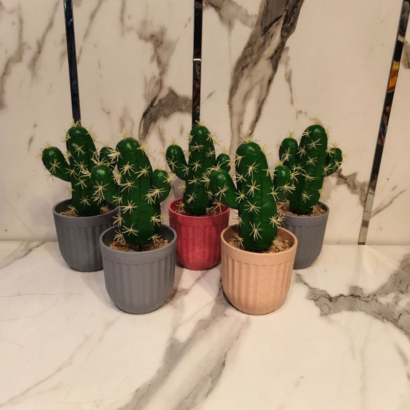 Green Cactus Pot