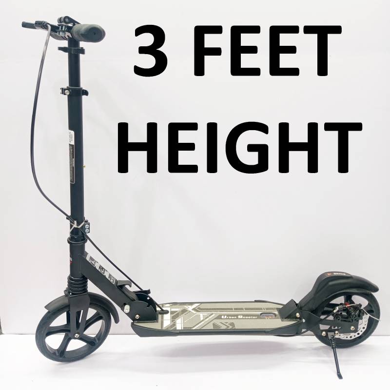 Scooter With Hand And Foot Brake