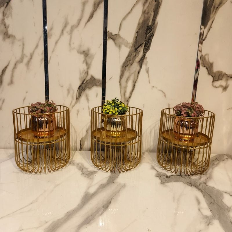 Cage Design Pot Holder With Plant Medium