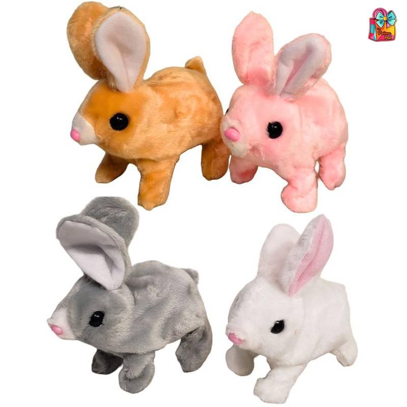 B/O Rabbit