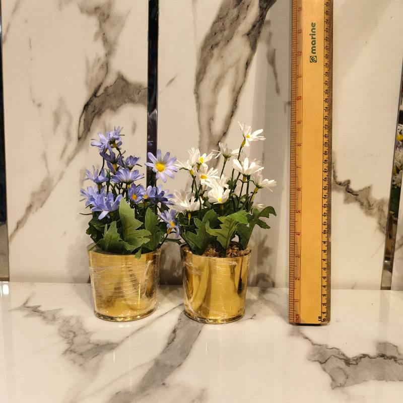 Circular Golden Pot Small {Each Piece}