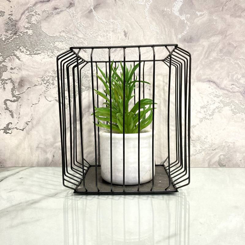 Square Bonzai Cage Large