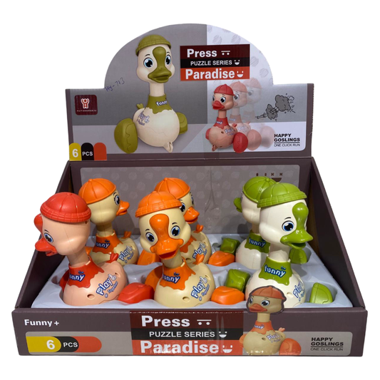 Press To Go Duck, 2Asst 3Clrs, 6Pcs/D.Bx