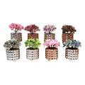 Ceramic Pot {Each Piece}