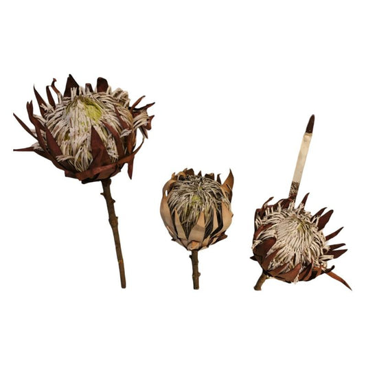 Artificial Plant Dry Flower Stick {Each Piece}
