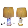 LED & Bulb Dual Function  Lamps 2 {Each Lamp}