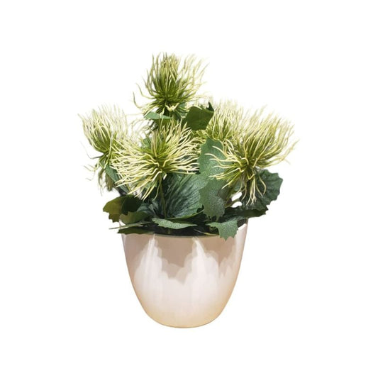 Each Piece Large PVC Pot New Bunch