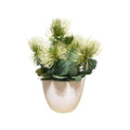 Each Piece Large PVC Pot New Bunch
