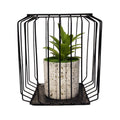 Square Bonzai Cage Small