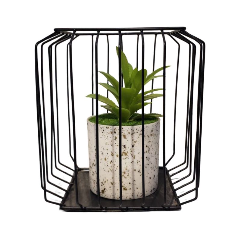 Square Bonzai Cage Small