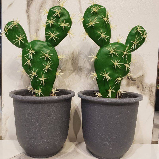 New Cactus Pot Large