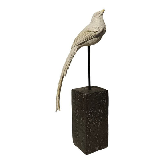 Resin Medium  Standing Parrot Figure 2