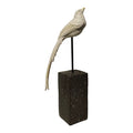 Resin Medium  Standing Parrot Figure 2