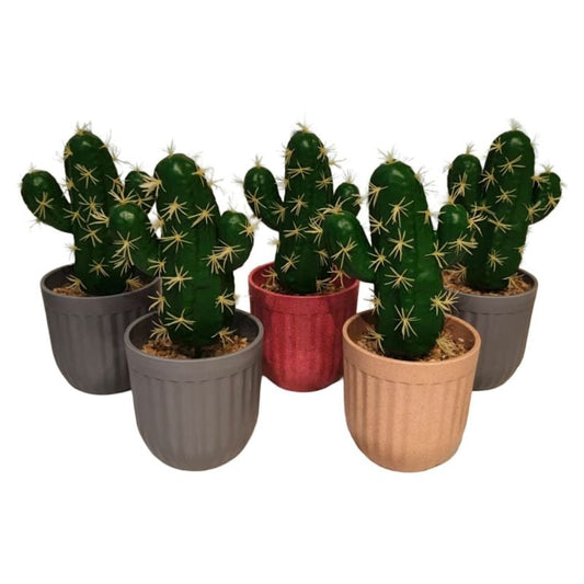 Green Cactus Pot {Each Piece}