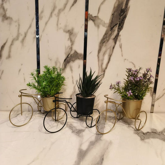 Cycle With Artificial Plant