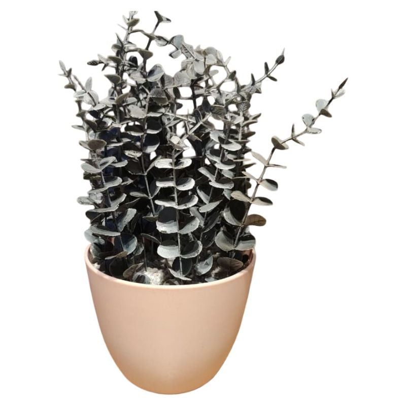 Spiral Eucalyptus Pot {large size}