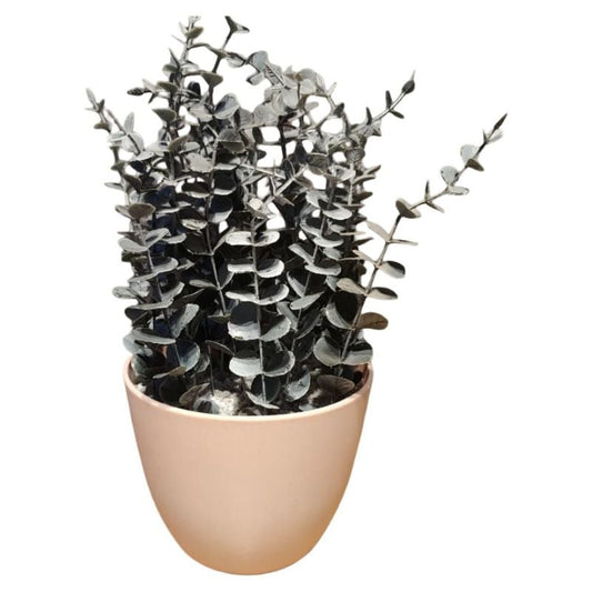 Spiral Eucalyptus Pot {large size}