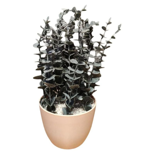 Spiral Eucalyptus Pot {Small Size}