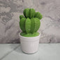 Cactus Lidded Pot