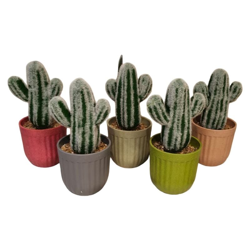 Snow Cactus Pot Large {Each Piece}
