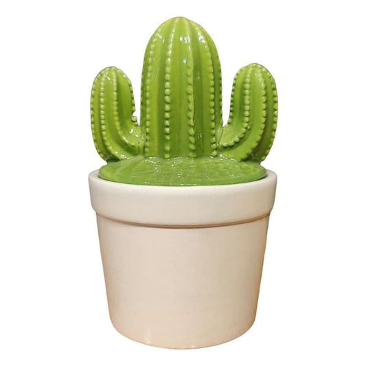 Ceramic Cactus NC