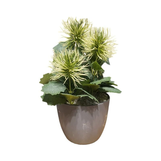 Each Piece Medium PVC Pot New Bunch