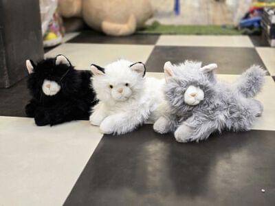 Persian Cat 35Cm With Sound