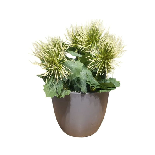 Each Piece XL PVC Pot New Bunch