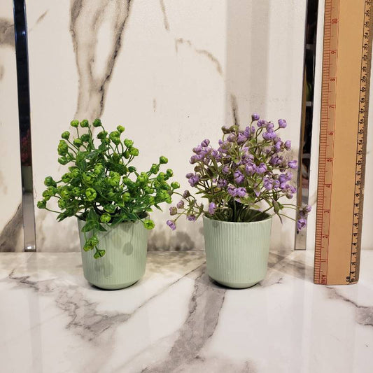 Each PVC Pot NC {Each Piece}