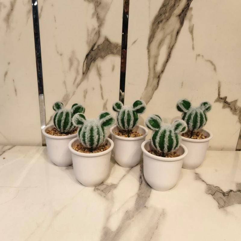 Snow Cactus White Pot