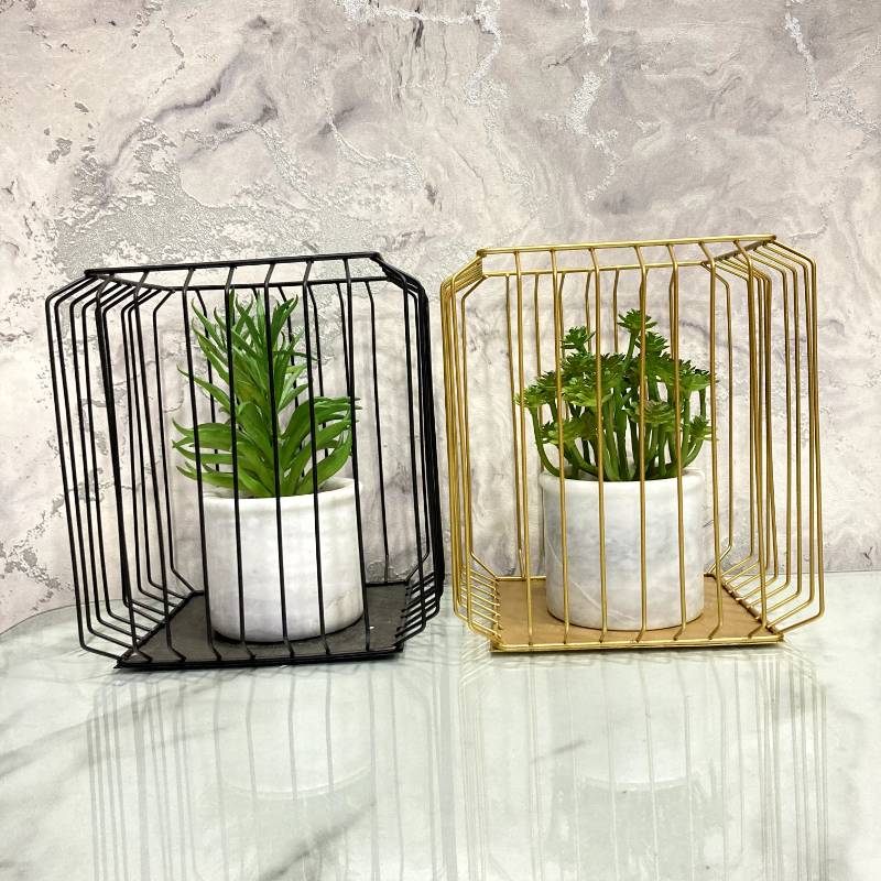 Square Bonzai Cage Large