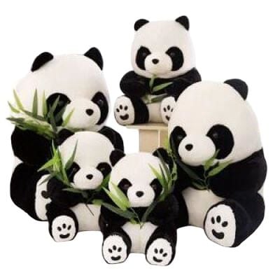 Double Panda Green Small 25Cm {Each Piece}