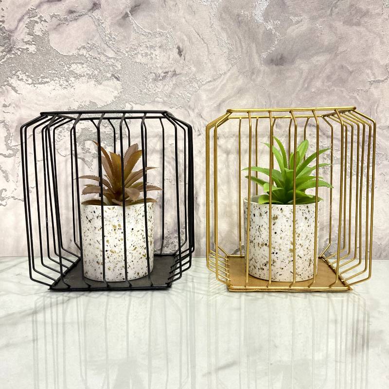 Square Bonzai Cage Small