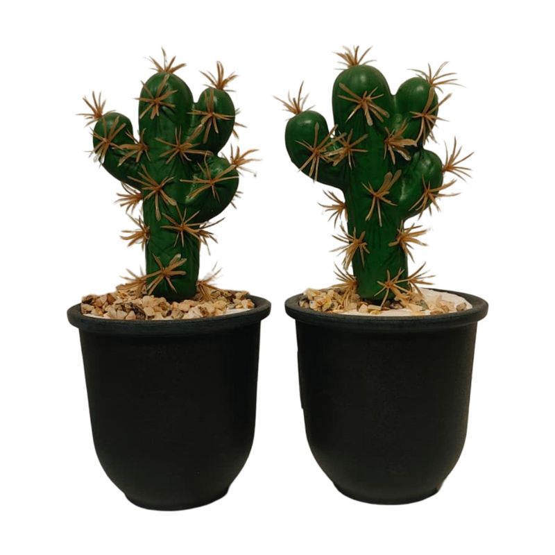 Cactus Small Pot New {Each Piece}
