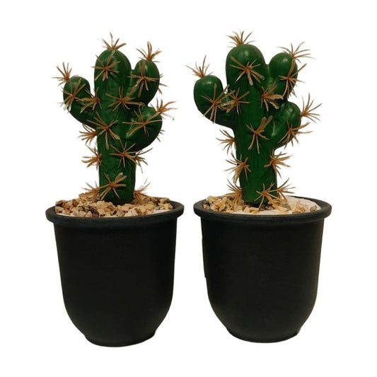 Cactus Small Pot New {Each Piece}