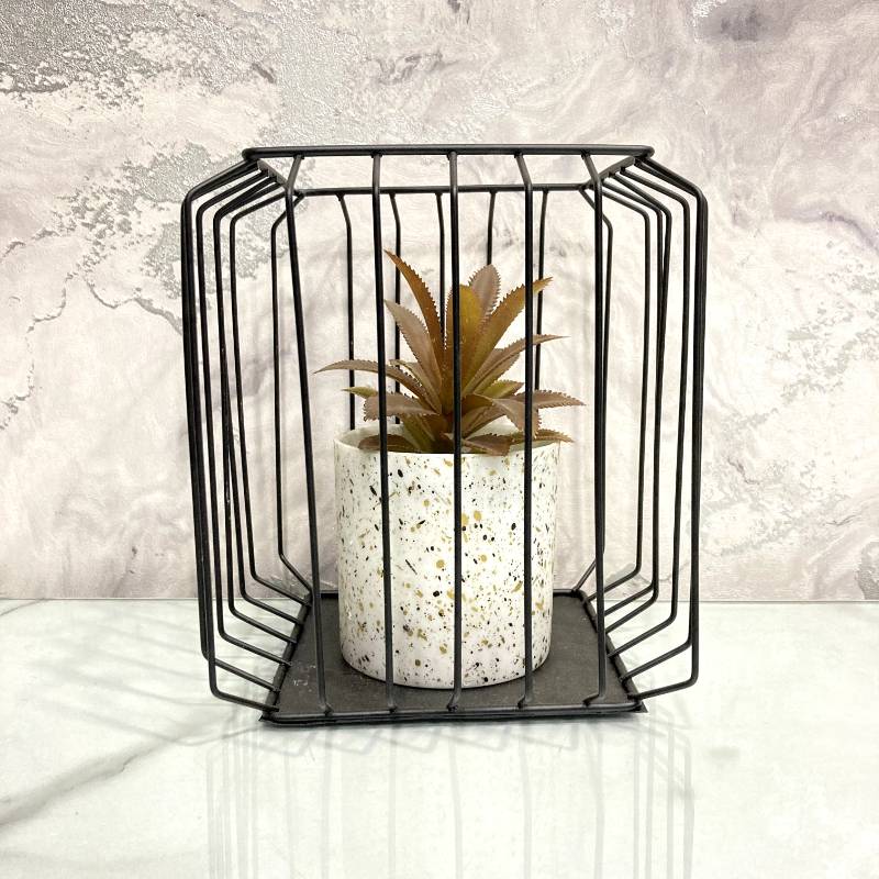 Square Bonzai Cage Small