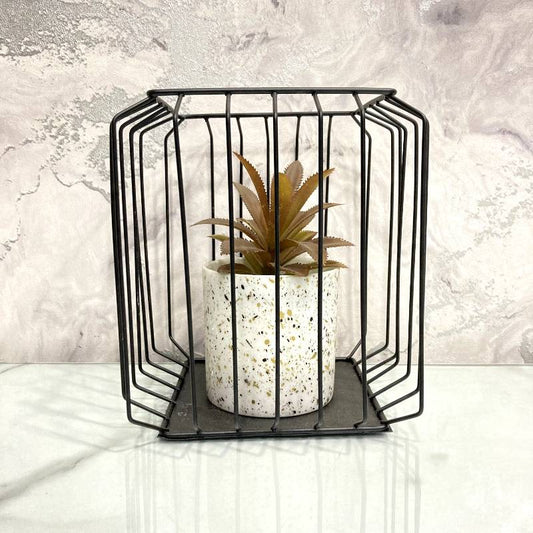 Square Bonzai Cage Small